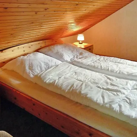 Prázdninový dům Holiday Wiedersbach - Dmg07029-f *